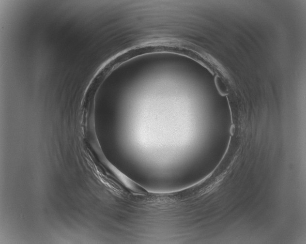 X0000084010830200702161159