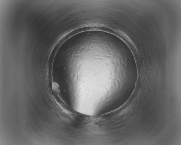 X0000084010831200702161159