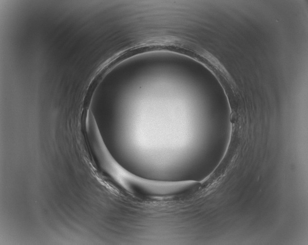 X0000084010834200702161159