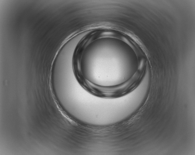 X0000084010850200702161159