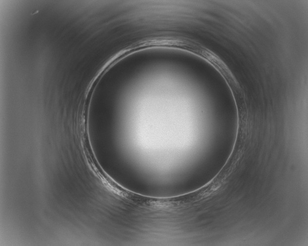 X0000084010852200702161159