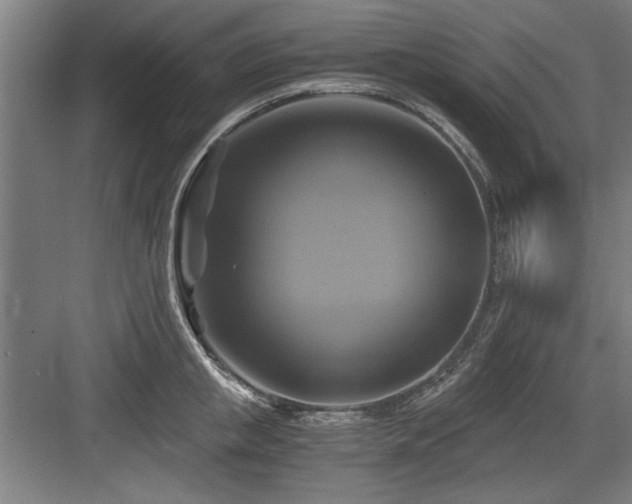 X0000084010853200702161159