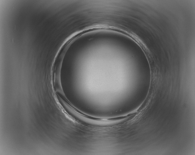 X0000084010854200702161159
