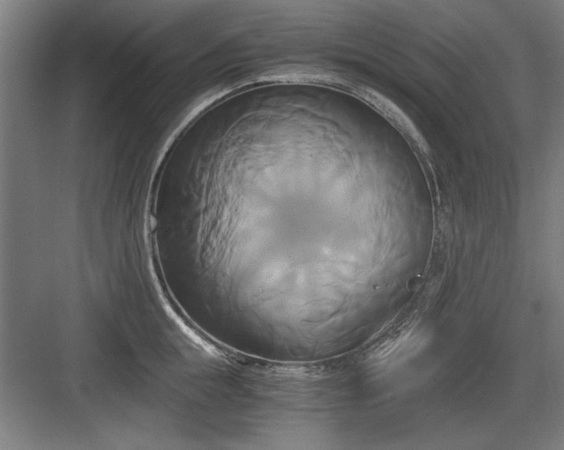 X0000084010855200702161159