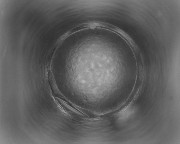 X0000084010857200702161159