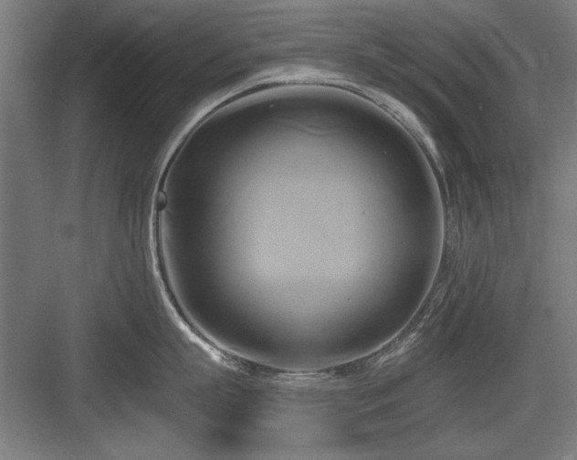 X0000084010863200702161200