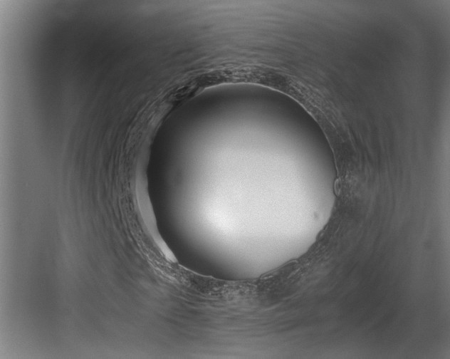 X0000084010865200702161159