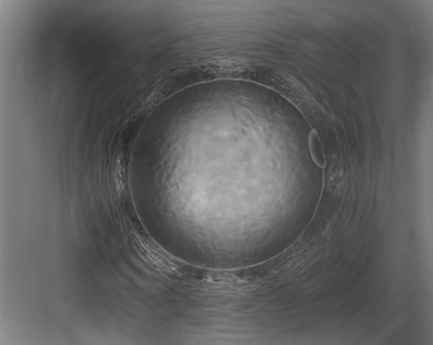 X0000084010866200702161159