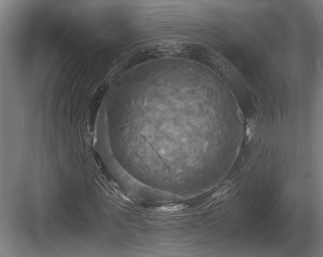 X0000084010867200702161159