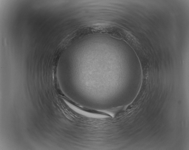 X0000084010868200702161159