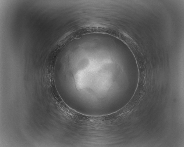 X0000084010870200702161159