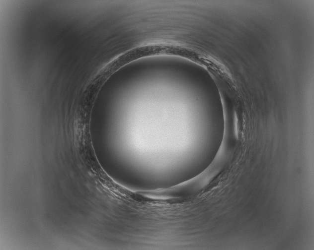 X0000084010872200702161159