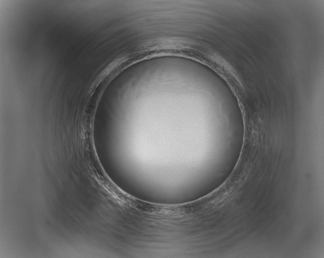 X0000084010874200702161159