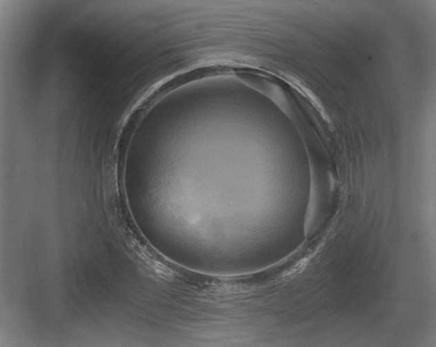 X0000084010877200702161159