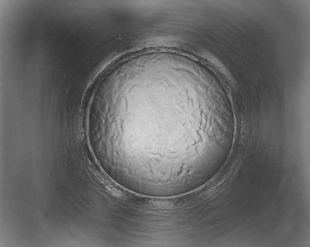 X0000084010878200702161159