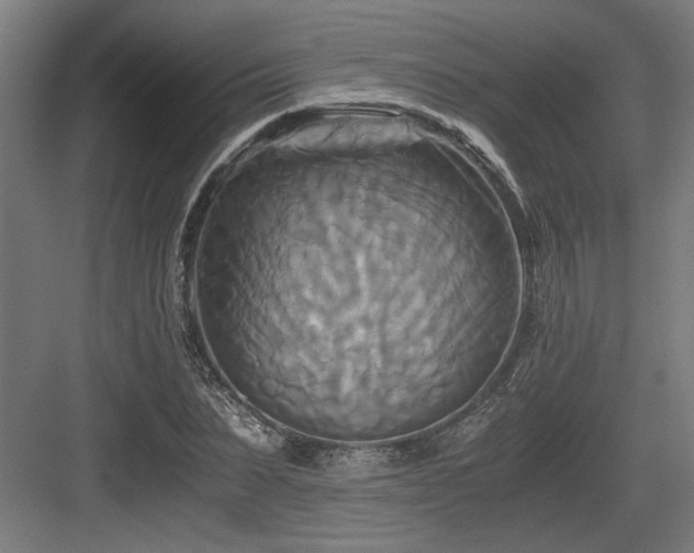 X0000084010879200702161159