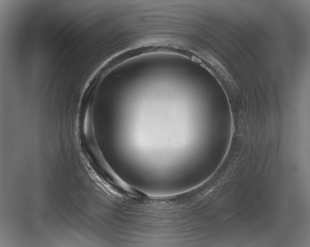 X0000084010880200702161159