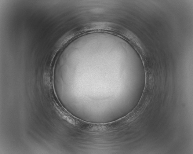 X0000084010882200702161159