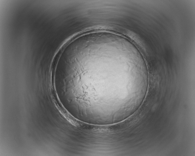 X0000084010886200702161158