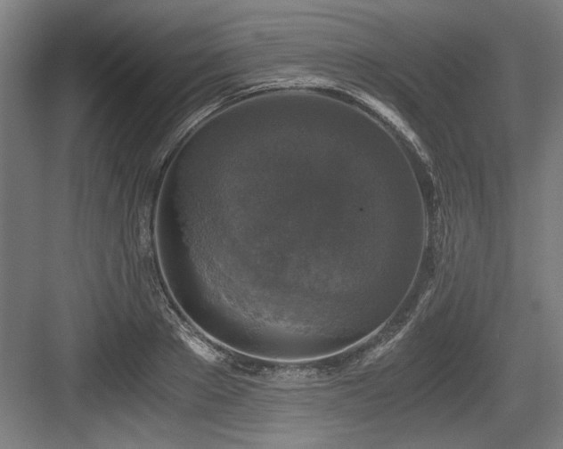 X0000084010889200702161158