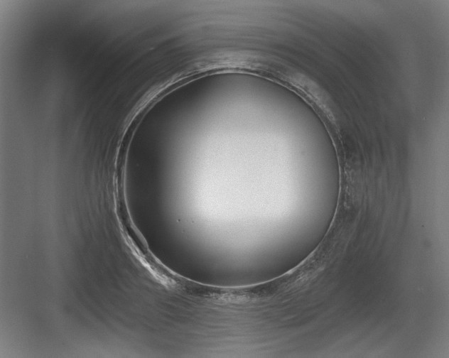 X0000084010890200702161158