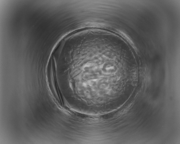 X0000084010891200702161158