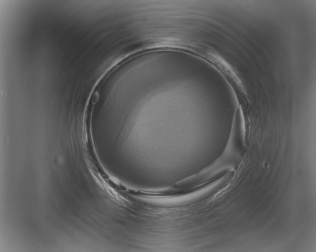 X0000084010892200702161158