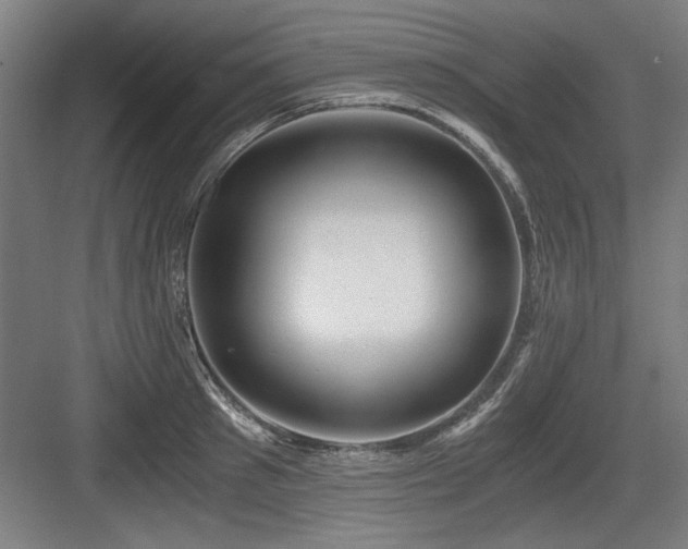 X0000084010897200702161158