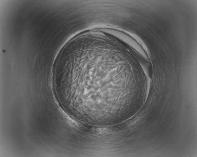 X0000084010903200702161158