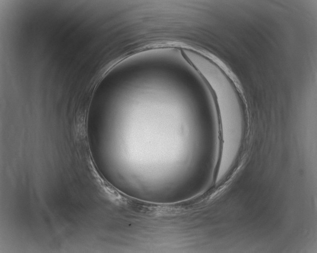 X0000084010905200702161158