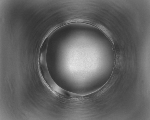 X0000084010906200702161158