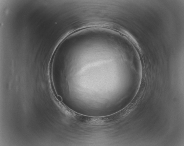 X0000084010907200702161158