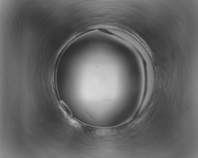 X0000084010909200702161158