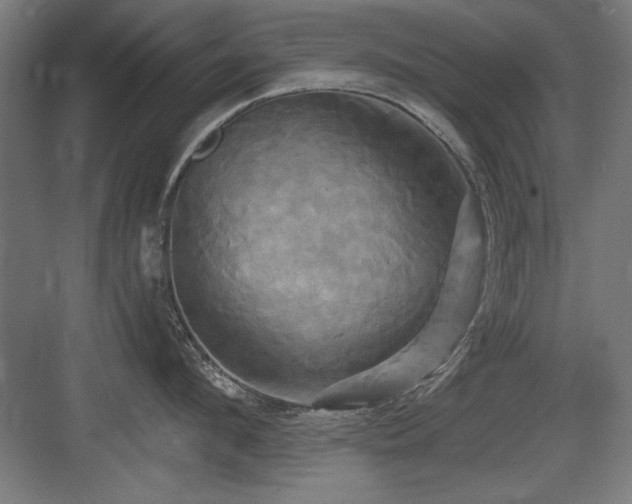 X0000084010912200702161158