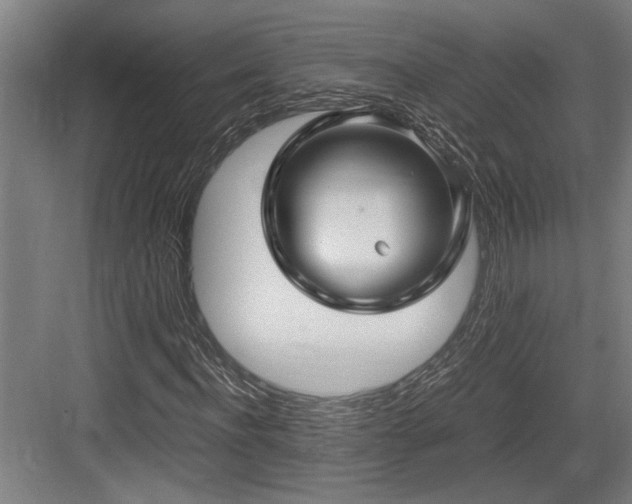 X0000084010916200702161157
