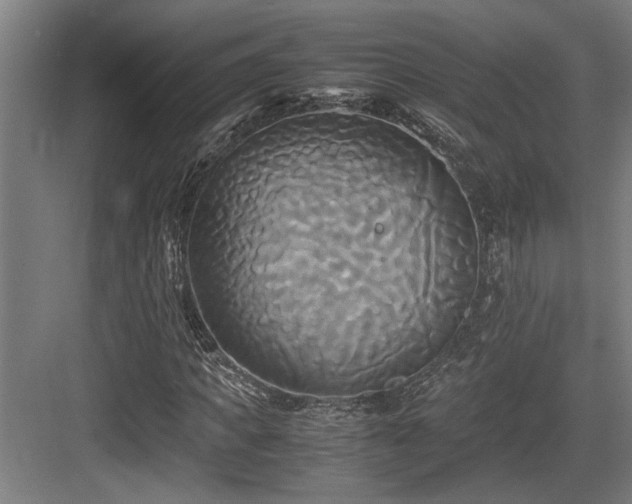 X0000084010917200702161157