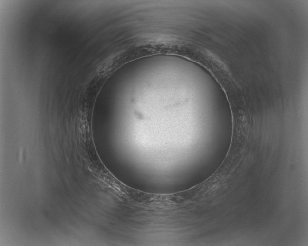 X0000084010918200702161157