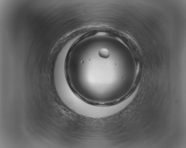 X0000084010920200702161157