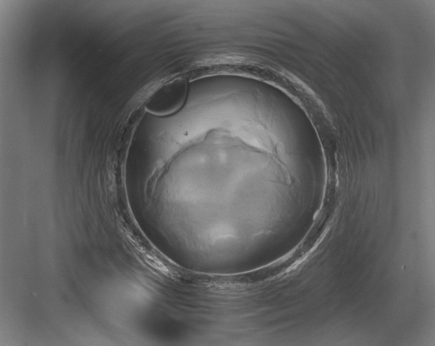 X0000084010921200702161157