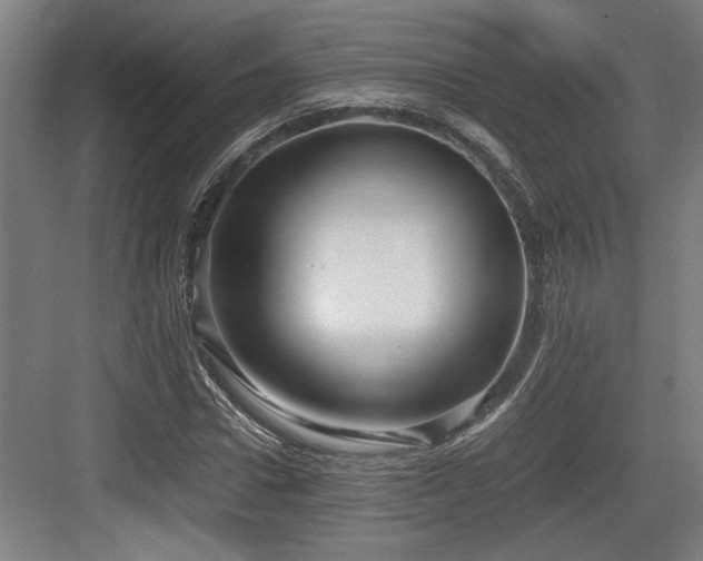 X0000084010922200702161157