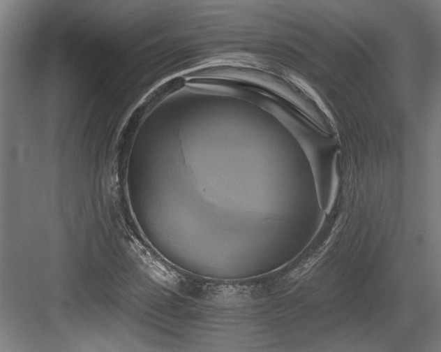 X0000084010923200702161157