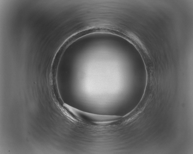 X0000084010924200702161157