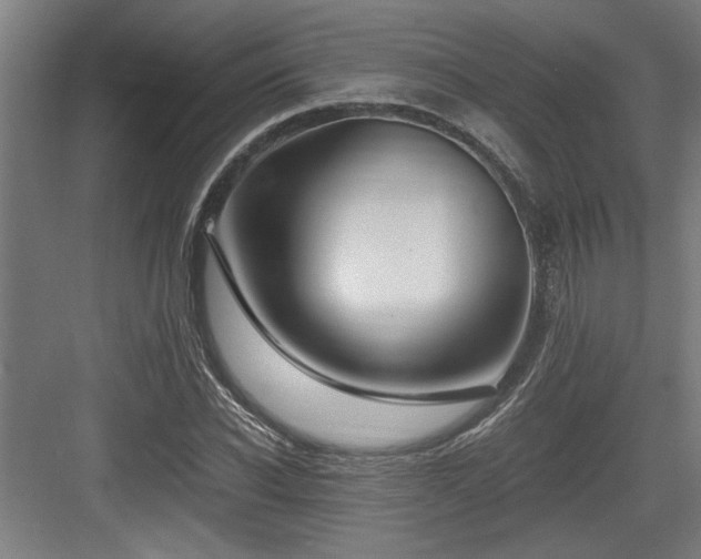 X0000084010926200702161157