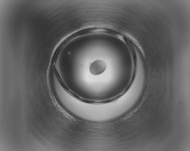 X0000084010928200702161157