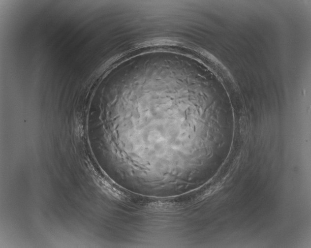 X0000084010929200702161157