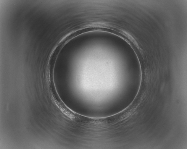 X0000084010931200702161158