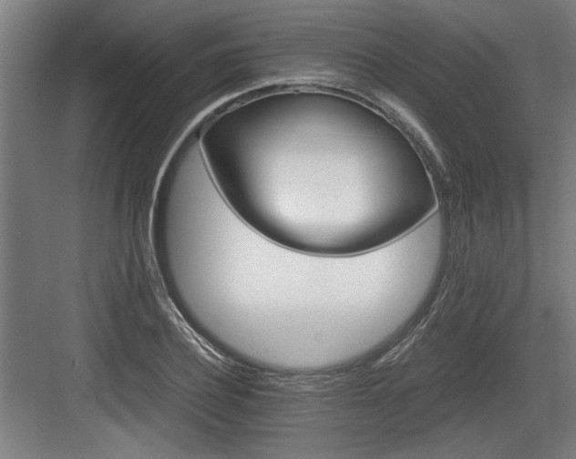 X0000084010932200702161158