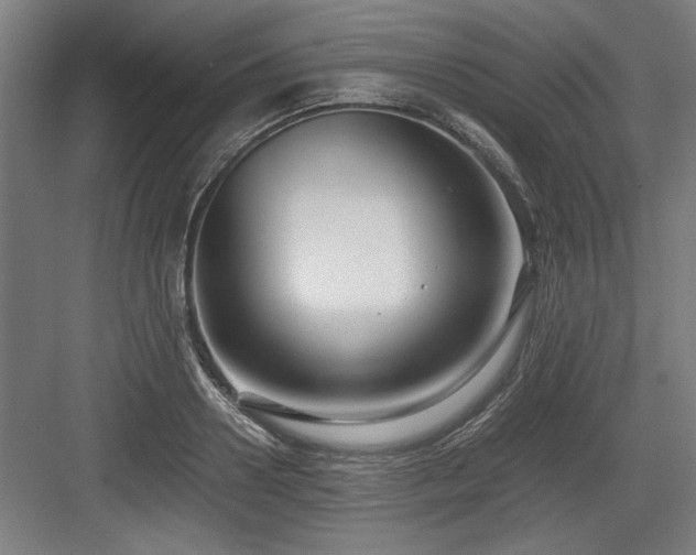 X0000084010938200702161158