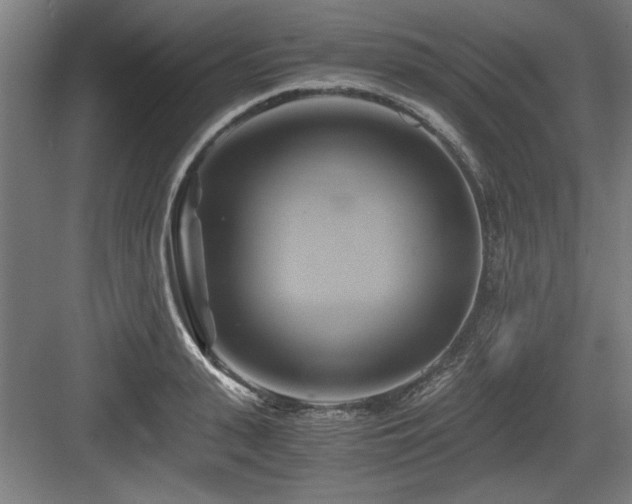 X0000084010943200702161158