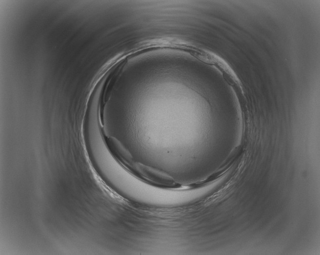 X0000084010946200702161158